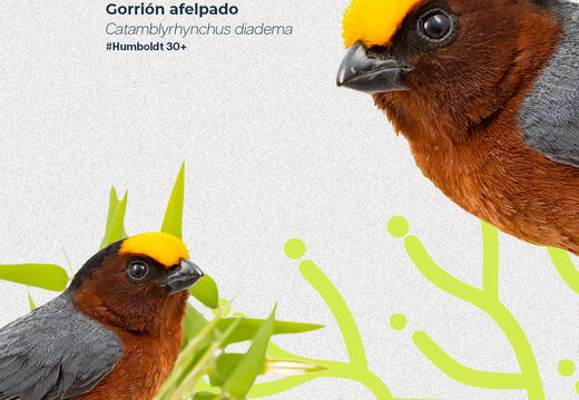 FONDOS DE PANTALLA